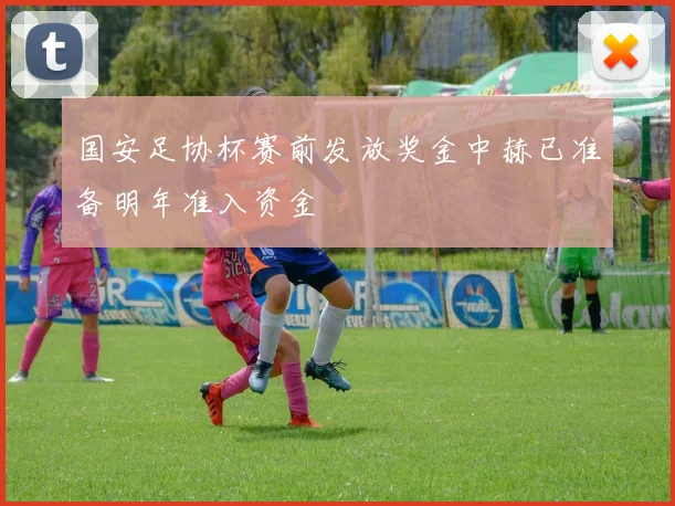 国安足协杯赛前发放奖金中赫已准备明年准入资金